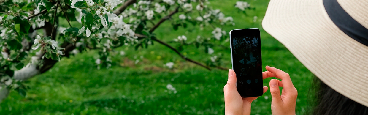 Telefono movil