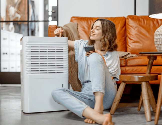 Prepara tu hogar para la primavera: 1 Ventajas y desventajas de un purificador de aire
